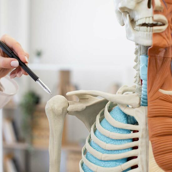 reconnaitre-clavicules-courtes-impact-sante